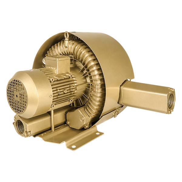 Bomba de vacío regenerativa Ekko EKZ 180-61