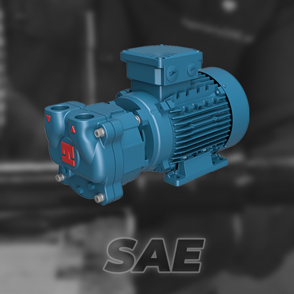 BOMBA DE VACÍO MONOBLOCK